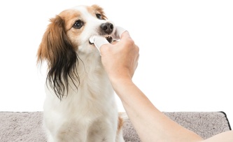 Zubní péče Animals jednorázové pečující návleky na prst 50 ks