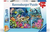 RAVENSBURGER Puzzle Život pod vodou 3x49 dílků