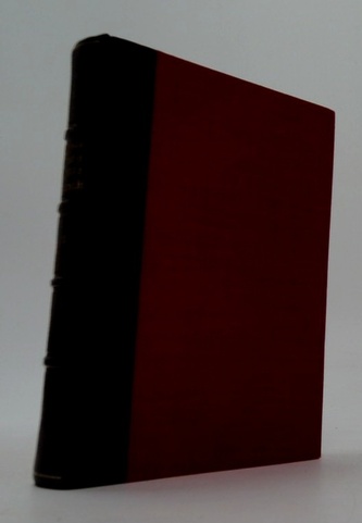 Dílo Jana Nerudy IX: Studie krátké a kratší II.