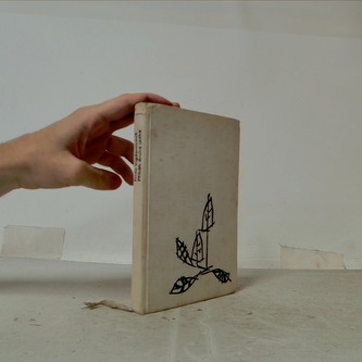 Příběh druhé lásky