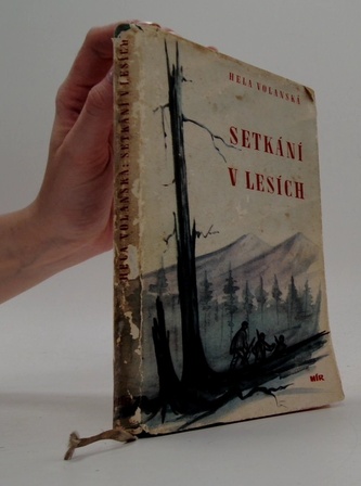 Setkání v lesích