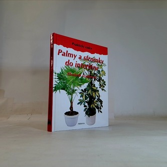 Palmy a stromky do interiéru