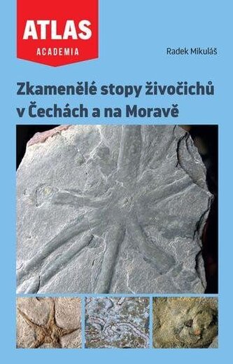 Zkamenělé stopy živočichů v Čechách a na Moravě Zkamenělé stopy živočichů v Čechách a na Moravě