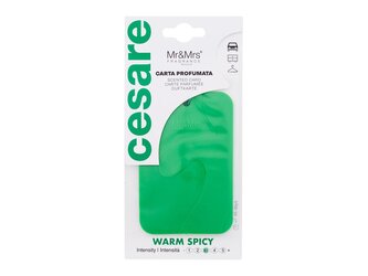 Mr&Mrs Fragrance Cesare Vůně do auta Scented Card 1 ks Warm Spicy unisex