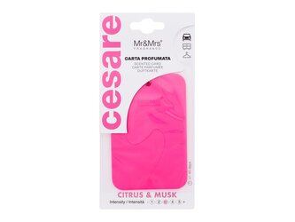 Mr&Mrs Fragrance Cesare Vůně do auta Scented Card 1 ks Cistrus & Musk unisex