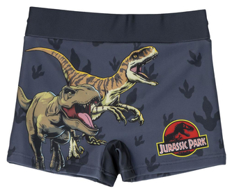 Dětské plavecké boxerky Jurassic Park|Jurský park: T-Rex & Veleciraptor (10 let) šedý polyester