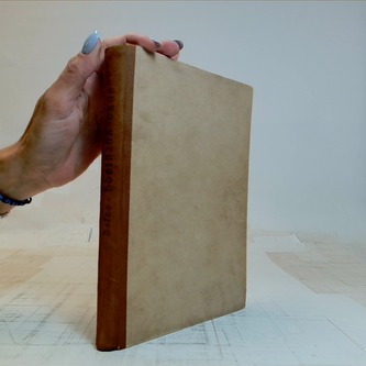 Robinson Crusoe. Dobrodružství na pustém ostrově