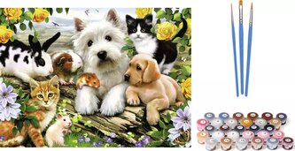 Norimpex Malování podle čísel: Domácí zvířátka, plátno na rámu 20x30 cm