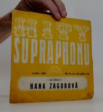 Hana Zagorová: Louka vábí, Byl to víc než přítel můj