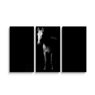 Obraz - 3-dílný Kůň ve stínu: 120x80 cm