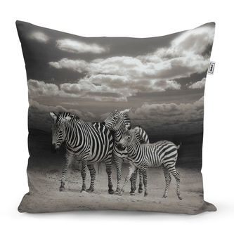 Polštář Zebry: 40x40 cm