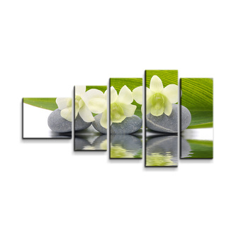 Obraz - 5-dílný Bílá orchidej: 100x60 cm