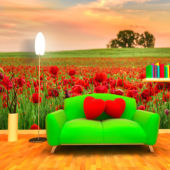 Tapeta Pole vlčích máků 2: 336x220 cm