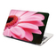 Samolepka na notebook Růžová gerbera: 29x20 cm