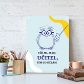 Dárková cedulka Věř mi, jsem učitel vím co dělám: 30x40 cm