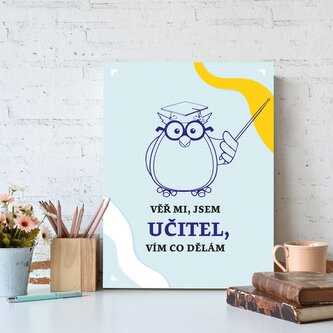 Dárková cedulka Věř mi, jsem učitel vím co dělám: 30x40 cm