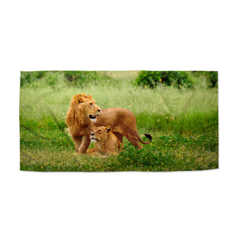 Ručník Lev a lvice: 50x100 cm Ručník Lev a lvice: 50x100 cm