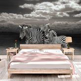 Tapeta Zebry: 125x75 cm