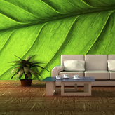 Tapeta List: 336x220 cm