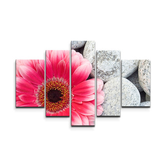 Obraz - 5-dílný Gerbera na kamenech: 125x90 cm