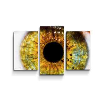 Obraz - 3-dílný Oko: 75x50 cm Obraz - 3-dílný Oko: 75x50 cm