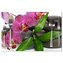 Prostírání Orchideje a kameny: 40x30cm
