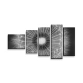 Obraz - 5-dílný Černobílá pampeliška: 100x60 cm