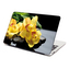 Samolepka na notebook Žluté orchideje: 38x26 cm