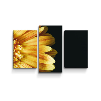 Obraz - 3-dílný Žlutá gerbera: 75x50 cm