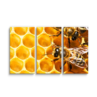 Obraz - 3-dílný Včely: 120x80 cm