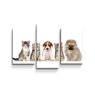 Obraz - 3-dílný Mláďátka: 75x50 cm