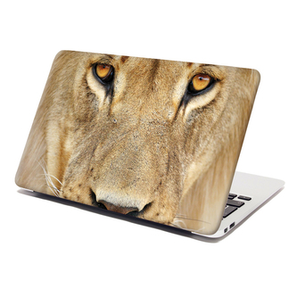 Samolepka na notebook Pohled lvice: 38x26 cm