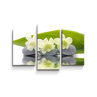 Obraz - 3-dílný Bílá orchidej: 75x50 cm