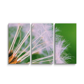 Obraz - 3-dílný Odkvetlé pampelišky 3: 120x80 cm