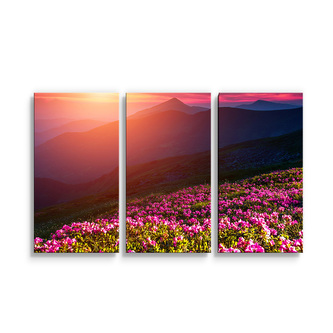 Obraz - 3-dílný Rozkvetlá příroda: 120x80 cm