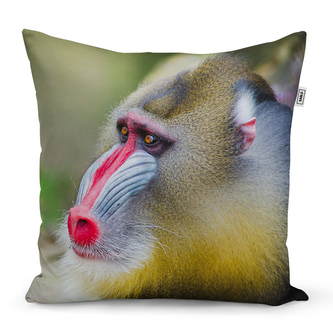 Polštář Mandril: 60x60 cm