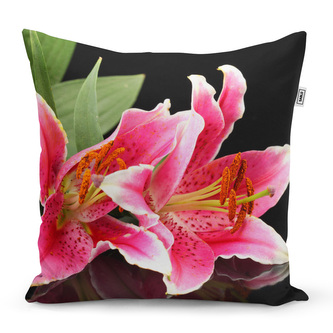 Polštář Lilie: 40x40 cm