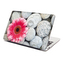 Samolepka na notebook Gerbera na kamenech: 38x26 cm