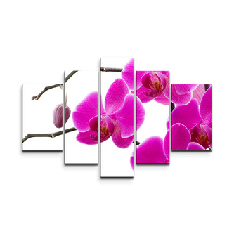 Obraz - 5-dílný Fialové orchideje: 125x90 cm