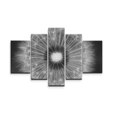 Obraz - 5-dílný Černobílá pampeliška: 125x90 cm