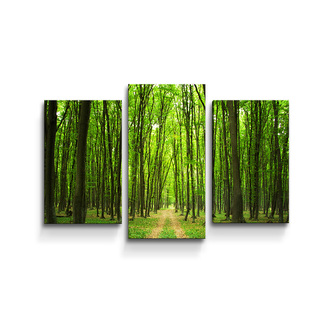 Obraz - 3-dílný Cesta v lese: 75x50 cm