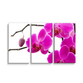 Obraz - 3-dílný Fialové orchideje: 120x80 cm