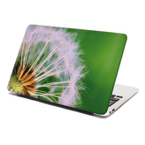 Samolepka na notebook Odkvetlé pampelišky 3: 38x26 cm