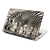 Samolepka na notebook Zebry u vody: 29x20 cm