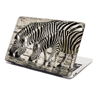 Samolepka na notebook Zebry u vody: 29x20 cm