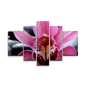 Obraz - 5-dílný Růžová orchidea: 125x90 cm
