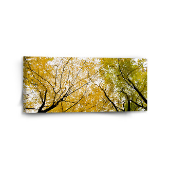 Obraz Koruny stromů: 110x50 cm