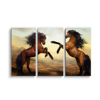 Obraz - 3-dílný Vzpínající se koně: 120x80 cm