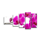 Obraz - 5-dílný Fialové orchideje: 100x60 cm
