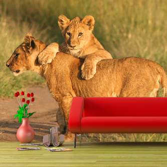 Tapeta Lvíčata: 336x220 cm
